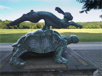 Tortoise & Hare, Van Cortlandt Park